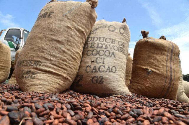 crise du cacao en cote d'Ivoire